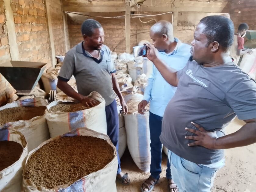 Equipe sapikso avec un producteur local de café à lukula