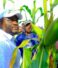 Campagne agricole 2025-2026 : des résultats encourageants au Kongo Central, selon Muhindo Nzangi